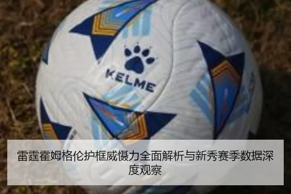 雷霆霍姆格伦护框威慑力全面解析与新秀赛季数据深度观察